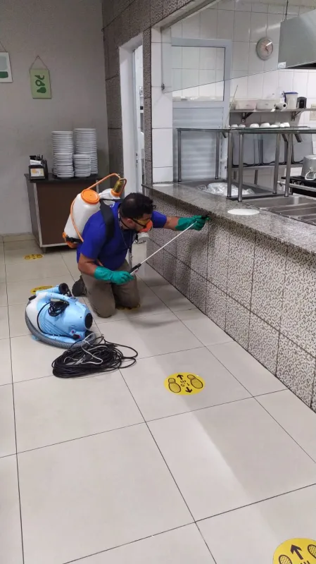 Imagem ilustrativa de Dedetização em empresas