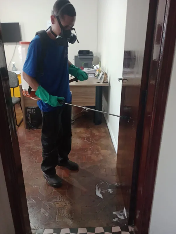 Imagem ilustrativa de Dedetização na Zona Oeste de São Paulo