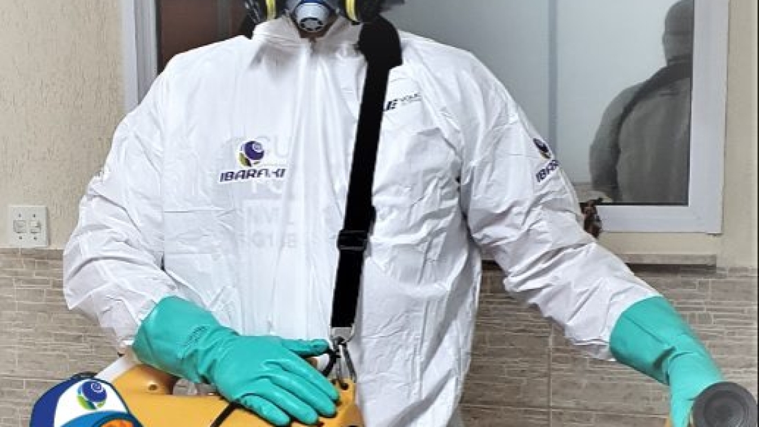dedetização_profissional2